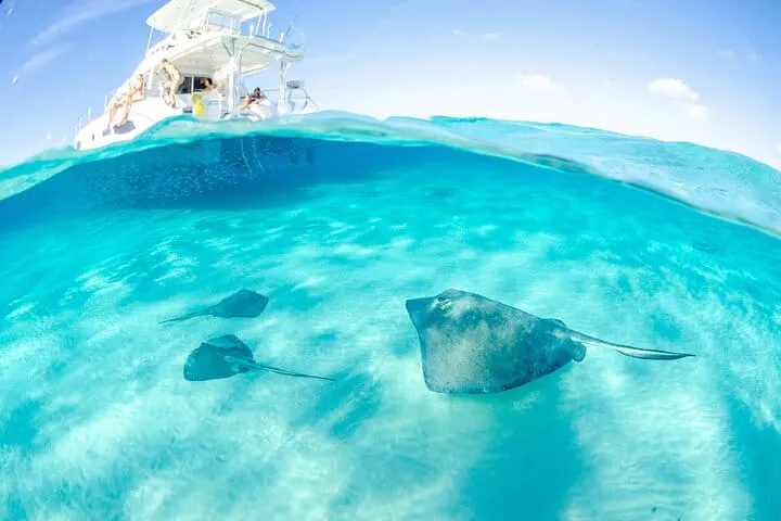 Grand Cayman Stingray City and Reef Snorkeling Adventure