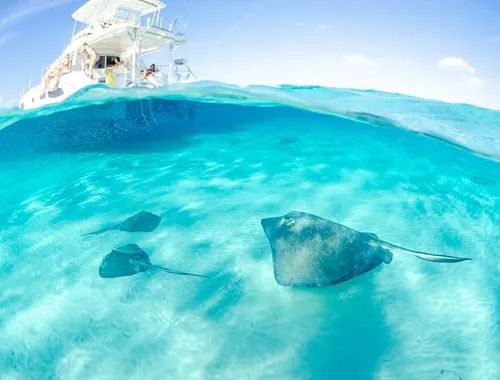 Grand Cayman Stingray City and Reef Snorkeling Adventure