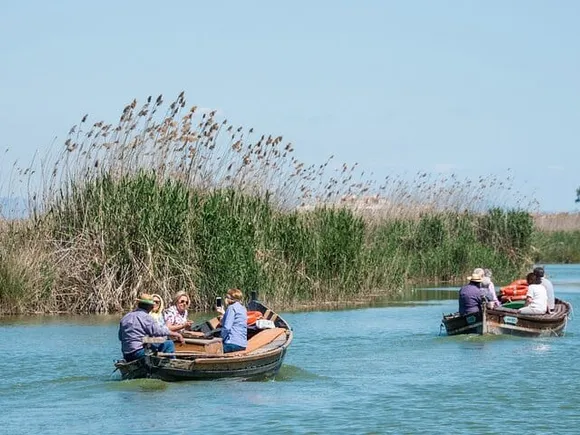 Albufera Private Day Tour: Paella, Boat & Nature