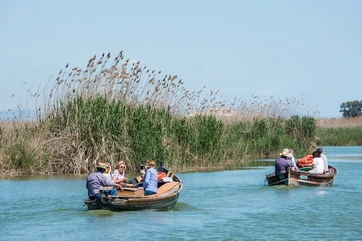 Albufera Private Day Tour: Paella, Boat & Nature