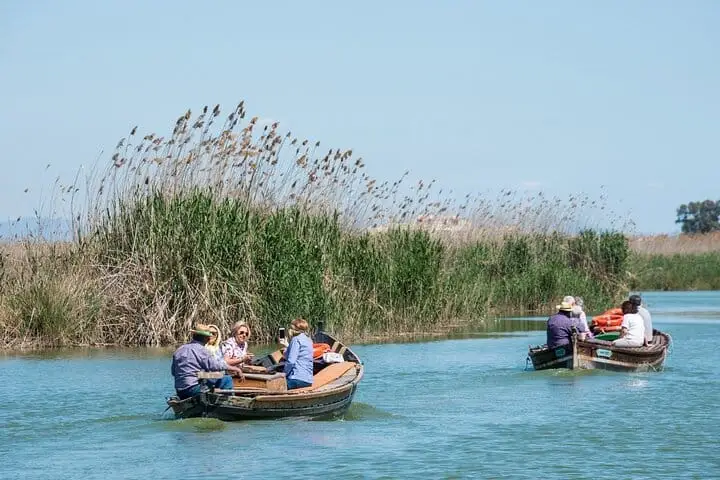 Albufera Private Day Tour: Paella, Boat & Nature
