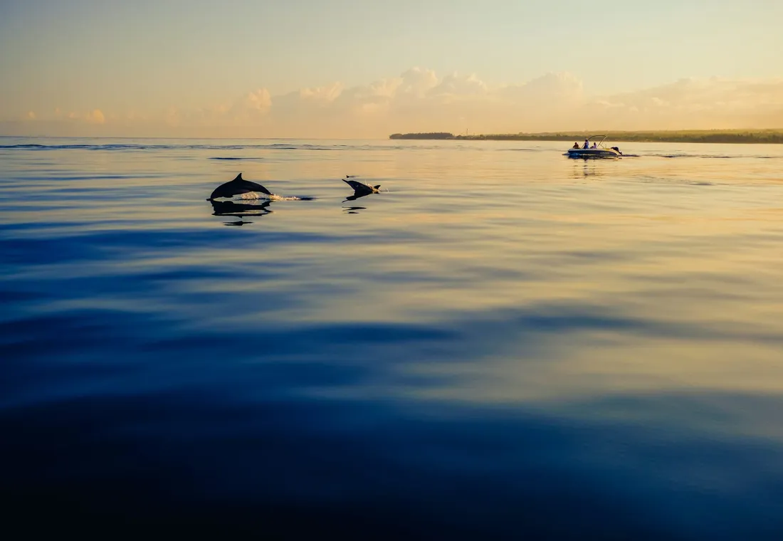 Estepona: Private sailboat rental for up to 10 people with paddle surf