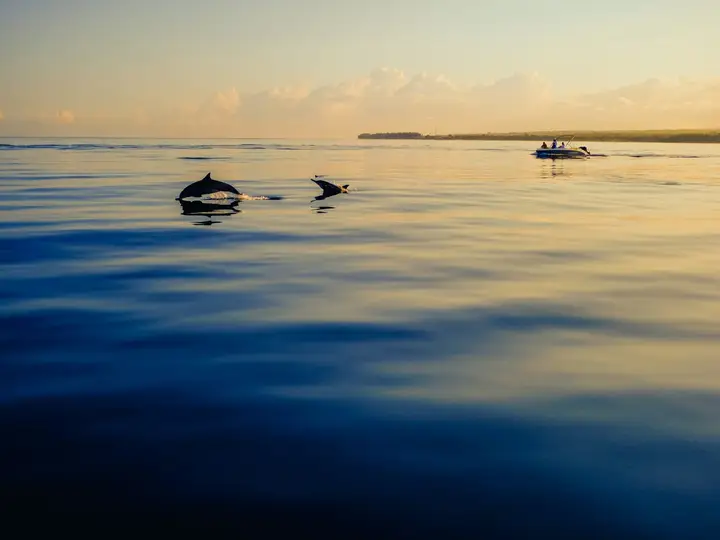 Estepona: Private sailboat rental for up to 10 people with paddle surf