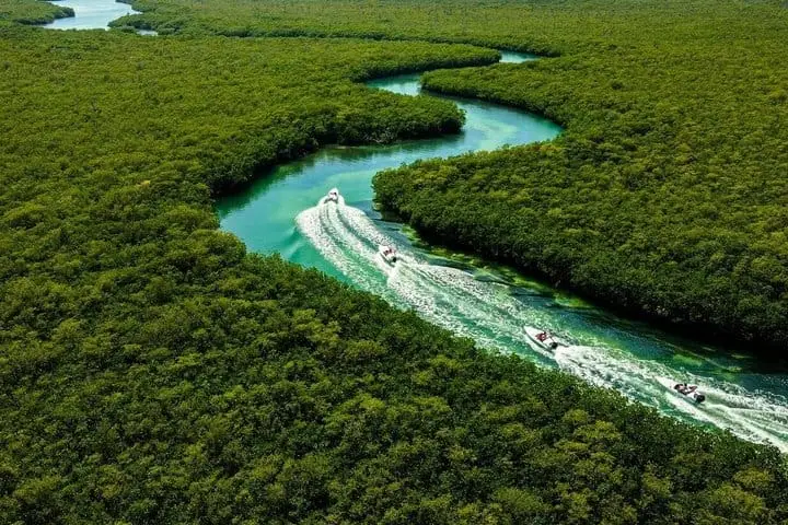 Speedboat jungle tour in Cancun