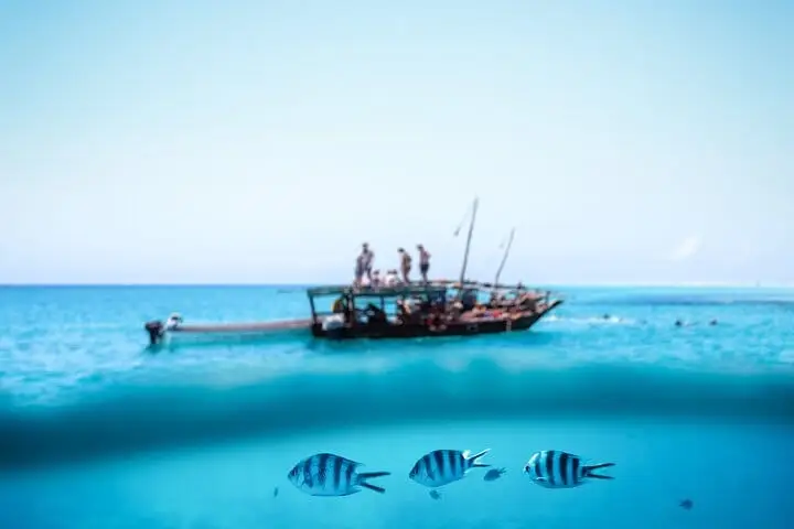 Mnemba Atoll dhow snorkelling day in Zanzibar