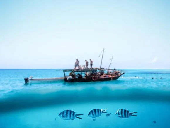 Mnemba Atoll dhow snorkelling day in Zanzibar