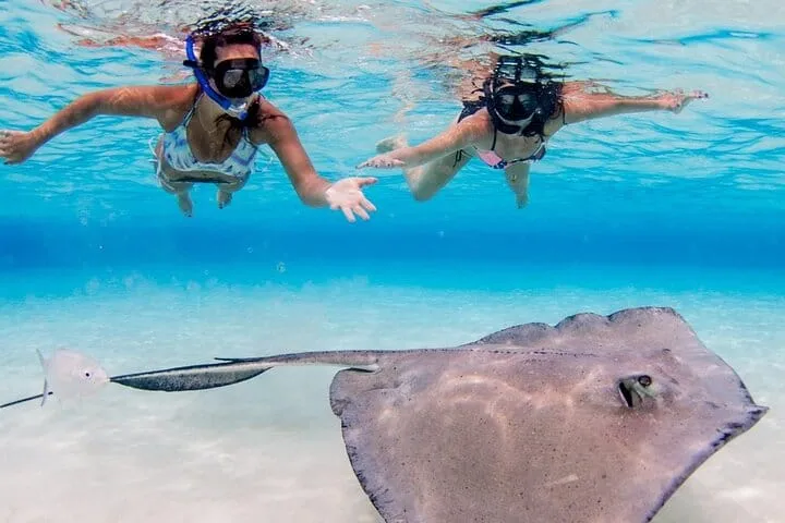 Grand Cayman 3-Stop Adventure: Stingray City & Reef Snorkeling
