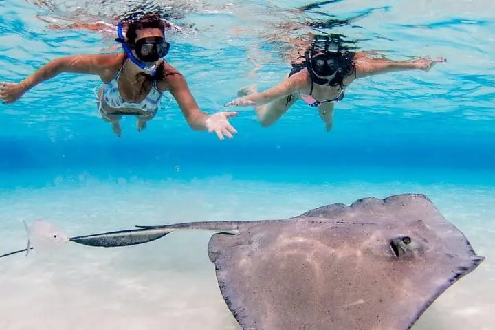Grand Cayman: Stingray City and Reef Snorkelling, 3 Stops