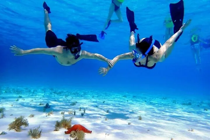 Private Cozumel Boat: El Cielo Sandbar and Snorkelling