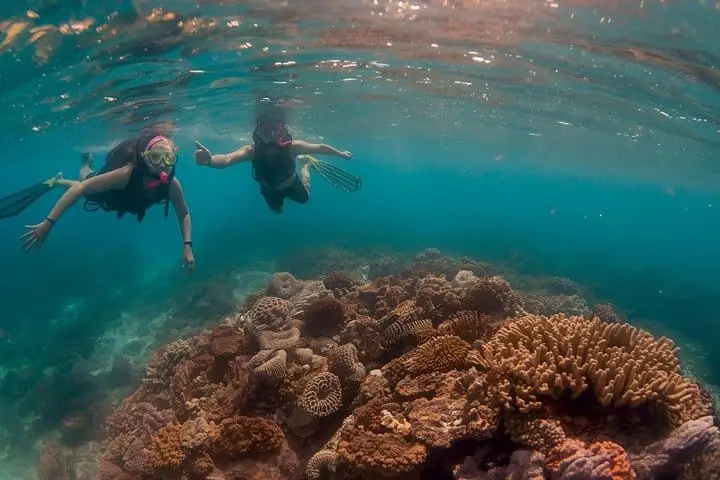 Hol Chan catamaran tour with snorkelling in Belize