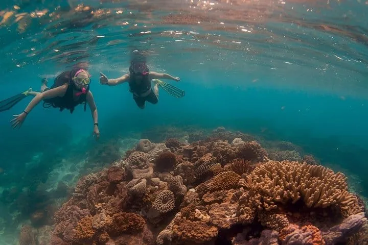 Hol Chan Catamaran Tour with Snorkel Sharks and Caye Caulker