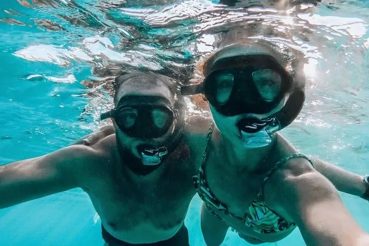 Cabo Snorkelling Cruise with Open Bar and Music