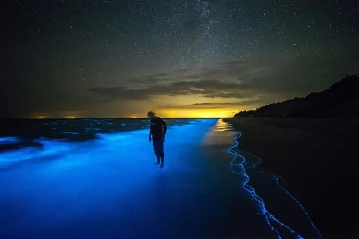 Grand Cayman Bioluminescent Bay Boat Tour at Night