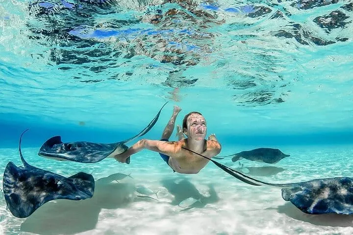 Grand Cayman: Stingray City Sandbar Snorkel