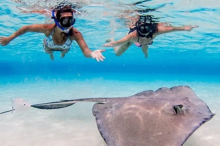 Grand Cayman Stingray City Sandbar Snorkel Adventure 