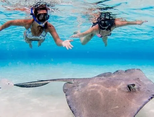 Grand Cayman Stingray City Sandbar Snorkel Adventure 