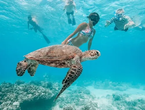 Grand Cayman: Stingray City and Snorkeling with Beach Lunch