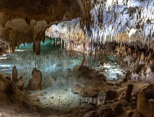 Grand Cayman: Stingray City, Starfish Point & Crystal Caves
