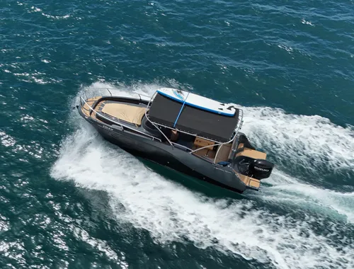 Experiencia Privada de 2H Avistamiento de Delfines con Bebidas Incluidas