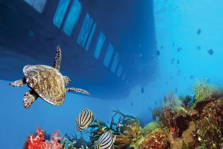 Safaga & Makadi Bay: Royal Seascope Submarine cruise with pickup