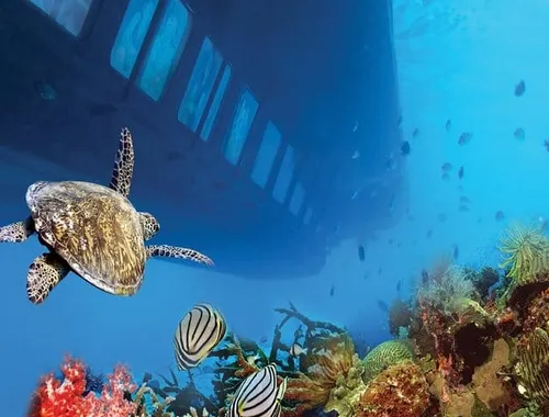 Safaga & Makadi Bay: Royal Seascope Submarine cruise with pickup