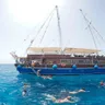 Boat trips from Marsa Alam