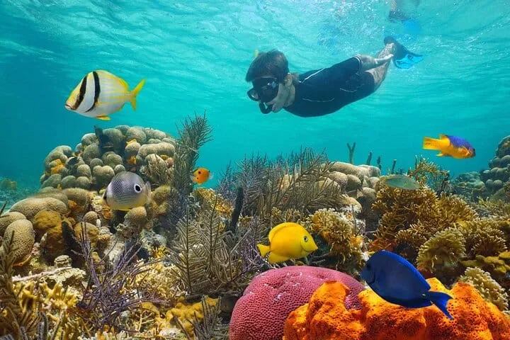 White Island and Ras Mohamed Snorkeling Trip from Sharm