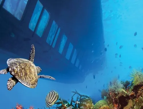 Marsa Alam: Royal Seascope Submarine cruise with pickup