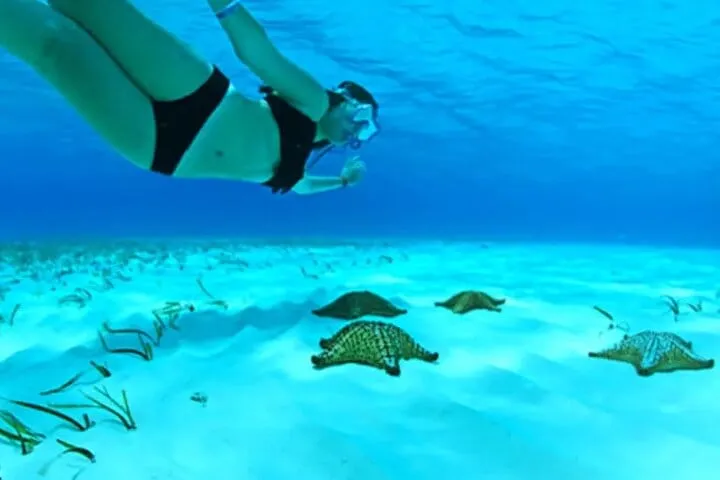 Stingray City Grand Cayman tour from Ritz Carlton
