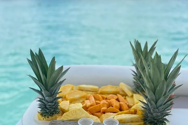 Bacalar Seven Color Lagoon Pontoon Boat Tour with Open Bar