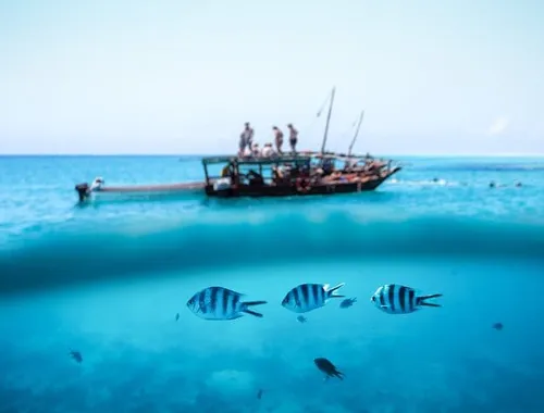 Mnemba Island Private Boat – Snorkel & Dolphin Adventure