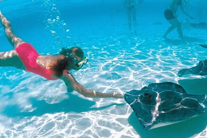 Grand Cayman Stingray City and Reef Snorkeling Adventure