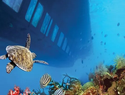 Dahab: Royal Seascope Submarine Guided Boat Tour