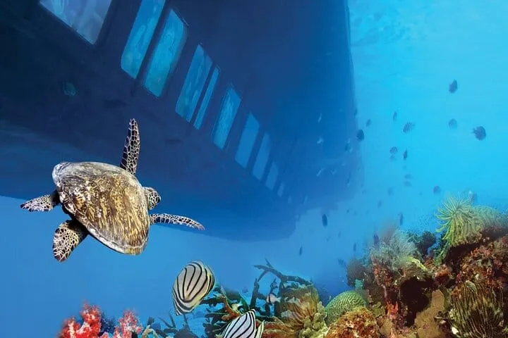 Dahab: Royal Seascope Submarine Guided Boat Tour