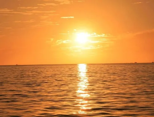 Cabo Sunset Catamaran Cruise: El Arco & Open Bar Experience