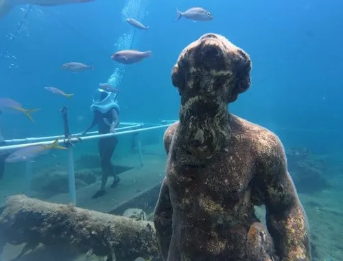 St Maarten SeaTrek and Snorkeling Adventure