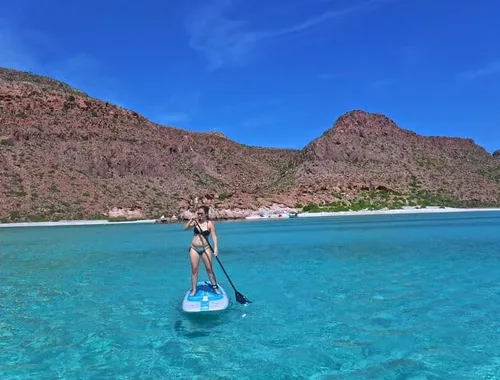 Sea of Cortez Combo: Whale Sharks, Sea Lions & Balandra Beach
