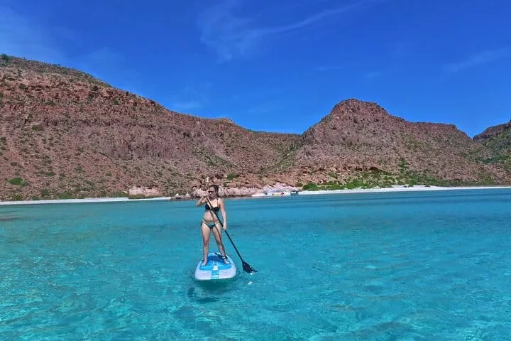 Sea of Cortez Combo: Whale Sharks, Sea Lions & Balandra Beach