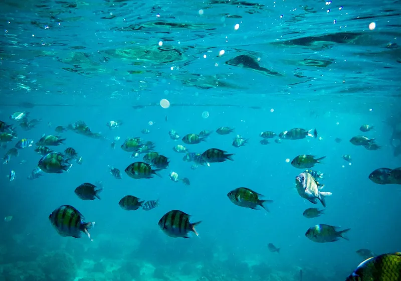 Private Krabi Islands – Luxury Speedboat from Phuket