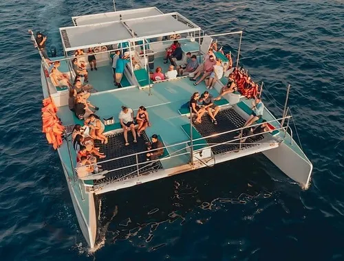 Party on the ocean! Snorkel, enjoy the open bar, and dance with friends on this Los Cabos catamaran cruise.