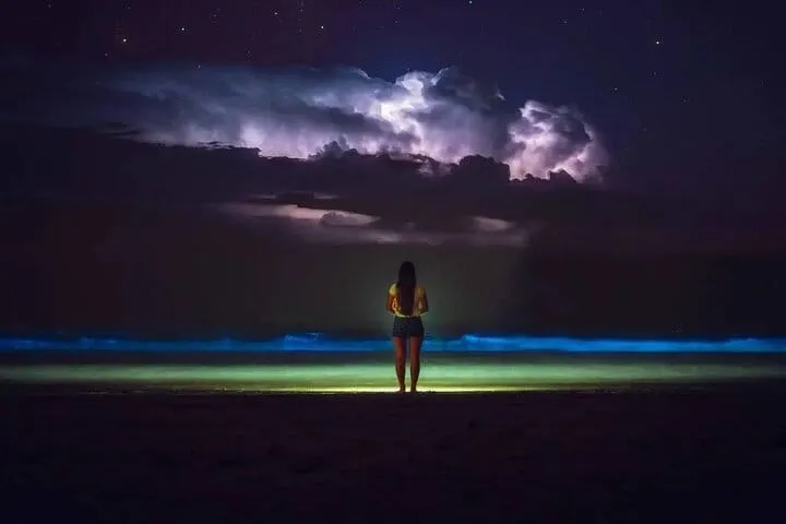 Grand Cayman Bioluminescence Adventure