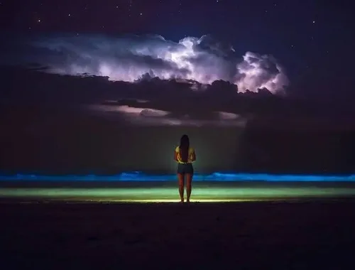 Grand Cayman Bioluminescence Adventure