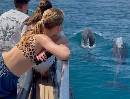 Experiencia Privada de 2H Avistamiento de Delfines con Bebidas Incluidas