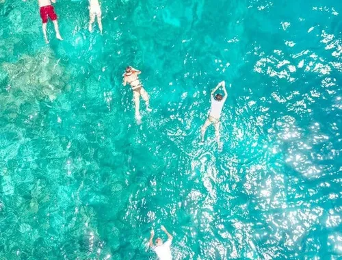 A refreshing snorkeling session in calm, shallow water with excellent visibility.