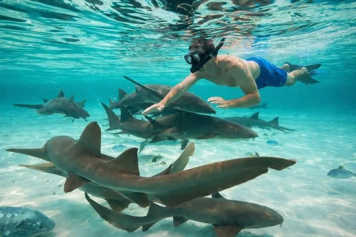 Catamaran Belize with Private Chef and Hol Chan Snorkeling