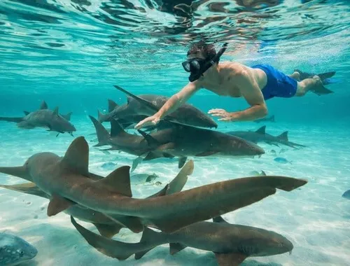 Catamaran Belize with Private Chef and Hol Chan Snorkeling