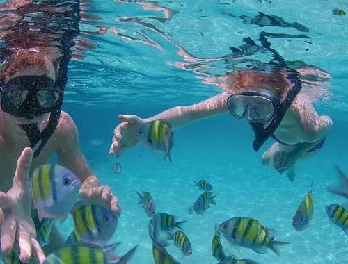 Punta Cana Snorkeling Entertainment Open Bar Music Booze Cruise 