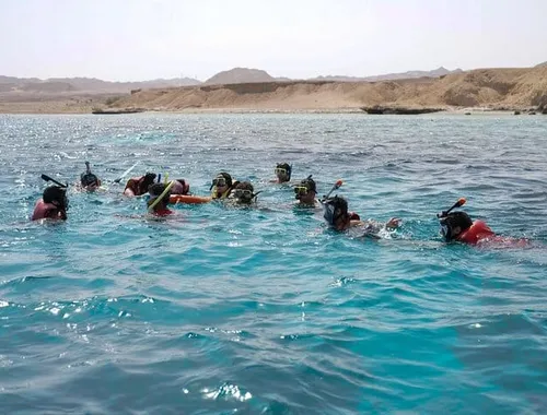 Day Sail to White Island and Ras Mohamed in Sharm El Sheikh