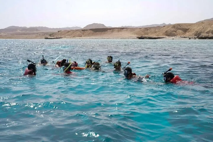 Day Sail to White Island and Ras Mohamed in Sharm El Sheikh
