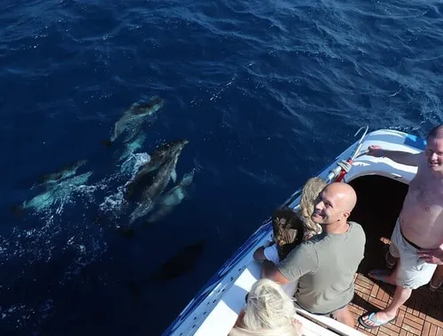 Odyssee 3: The Glass Bottom Boat Tour in Fuerteventura